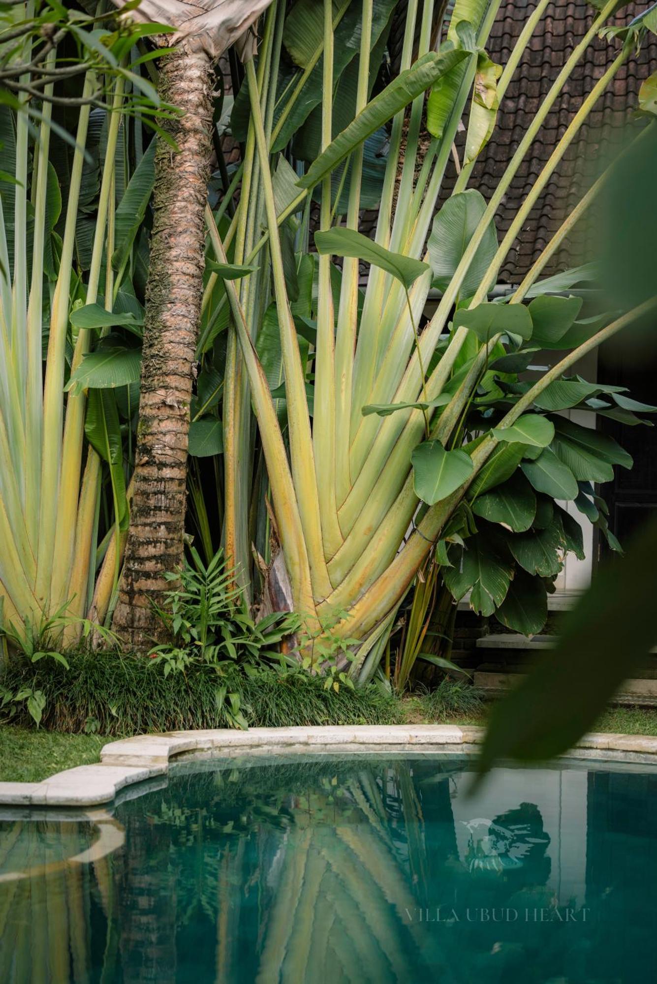 Villa Ubud Heart Екстер'єр фото